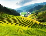 Những điểm đến đẹp để chụp ảnh tại Việt Nam của du khách