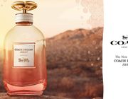 Coach Dreams Sunset EDP- Những giấc mơ vàng nhuộm màu hoàng hôn