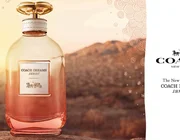Coach Dreams Sunset EDP- Những giấc mơ vàng nhuộm màu hoàng hôn