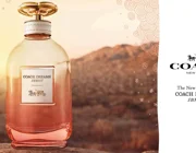 Coach Dreams Sunset EDP- Những giấc mơ vàng nhuộm màu hoàng hôn