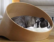 "Choáng" với những món đồ dành cho thú cưng trị giá hàng chục triệu đồng