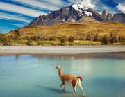 Thiên đường du lịch Chile và những điều bất ngờ thú vị