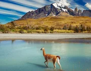 Thiên đường du lịch Chile và những điều bất ngờ thú vị