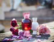 Bvlgari Allegra Collection - Bộ sưu tập nước hoa đậm chất Ý