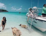 Thiên đường “đảo lợn” có 1-0-2 ở Bahamas