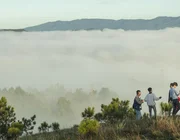 Ngắm biển mây bềnh bồng trên “thánh địa săn mây” Đà Lạt