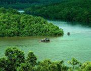 Khu Dự trữ sinh quyển rừng ngập mặn Cần Giờ - “Lá phổi xanh” của TP.HCM