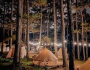 5 điểm cắm trại sang chảnh ở Việt Nam