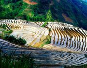 12 cảnh sắc tuyệt đẹp ở Việt Nam không nên bỏ lỡ sau dịch Covid
