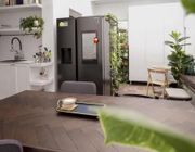 Không gian của cây và thú cưng cho những ngày giãn cách
