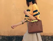 Màn “tái sinh” đầy ấn tượng của Gucci Diana Bag