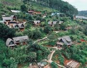 Hẹn hết dịch, mình mơ về một nơi yên bình nhé!