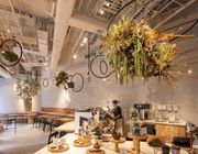 Khám phá cafe thiên nhiên “cực hot” tại Hồng Kông