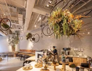 Khám phá cafe thiên nhiên “cực hot” tại Hồng Kông