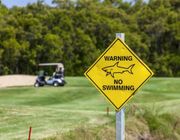 Bên trong sân golf duy nhất có hồ cá mập hung tợn nguy hiểm nhất thế giới