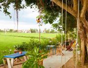 2 tiệm cafe view đồng lúa bình yên ở Hội An nhất định phải ghé