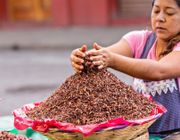 Những món ăn độc lạ nên thử khi đển Mexico