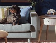 Máy lọc không khí Starkvind từ IKEA - Nâng tầm chất lượng sống!