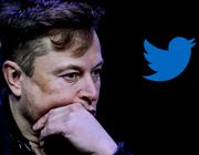 Elon Musk định sa thải hầu hết nhân viên Twitter sau khi tiếp quản công ty?