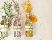 Sức quyến rũ mạnh mẽ từ tinh dầu nước hoa làm bao nàng say đắm