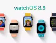 Hệ điều hành WatchOS 8.5 mới mang đến nhiều tính năng linh hoạt và tập trung vào theo dõi sức khoẻ người dùng