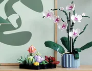 LEGO Creator mang phong lan và cây mọng nước tới Bộ sưu tập Thực vật của mình