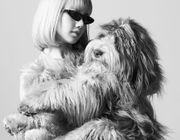 Celine ra mắt dòng phụ kiện dành cho thú cưng