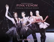 Cùng đếm ngược đến ngày MV Pink Venom của BLACKPINK chào sân!