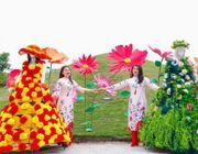 Từ Sa Pa, Đà Nẵng đến Tây Ninh, Phú Quốc, ngập tràn niềm vui du xuân