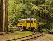 Quán bar Glen Blair của California nằm giữa rừng Redwood