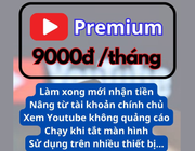 Cảnh báo sập bẫy lừa đảo trực tuyến gói YouTube Premium giá 9.000 đồng
