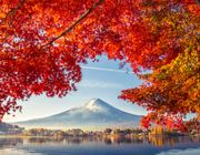 Từ 1/11, Nhật Bản cấp e-visa cho du khách đoàn Việt Nam