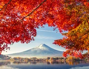 Từ 1/11, Nhật Bản cấp e-visa cho du khách đoàn Việt Nam