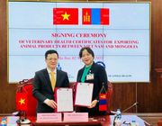 Việt Nam sắp xuất khẩu thịt gia cầm, trứng sang thị trường Mông Cổ
