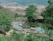 Du lịch Mộc Châu: Thời điểm lý tưởng nhất với mùa hoa nở “trắng trời”