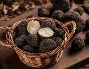 Đưa Món Ăn Lên Một Tầm Cao Mới Với Hương Vị Của Nấm Truffle
