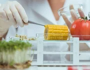 Top 10 Trường đại học đào tạo ngành Công nghệ thực phẩm tốt nhất Việt Nam