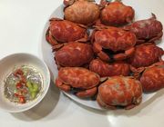 Top 13 loại hải sản Cô Tô mang thương hiệu đặc trưng của vùng biển tiền tiêu