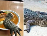 "Độc lạ Đài Loan" với món mì ramen chân cá sấu