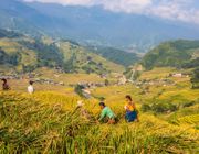 Du lịch Sapa: Chuyến đi trắc trở của cô nàng “bánh bèo”