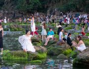 Chen chân chụp ảnh bãi rêu ven biển Đà Nẵng