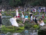 Chen chân chụp ảnh bãi rêu ven biển Đà Nẵng