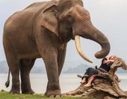Chàng trai Tây Nguyên làm du lịch thân thiện với voi
