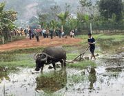 Sôi nổi lễ hội Lồng tồng ở Tân Hợp