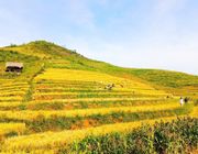 Du lịch Văn Yên hứa hẹn là điểm đến “an toàn, hấp dẫn, ấn tượng”