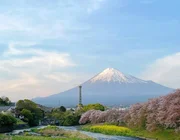Khám phá đất nước của những bộ anime kinh điển với tour Nhật Bản 6N5Đ