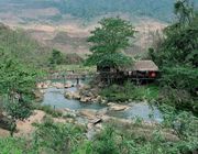 Du lịch Mộc Châu: Thời điểm lý tưởng nhất với mùa hoa nở “trắng trời”
