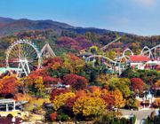 Tour du lịch Hàn Quốc mùa Thu chiêm ngưỡng công viên Everland