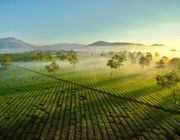 Gia Lai không chỉ có Biển Hồ
