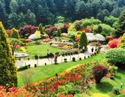 Say đắm trước cảnh sắc thiên nhiên tươi đẹp của “xứ sở kim chi” trong tour Hàn Quốc 4N4Đ